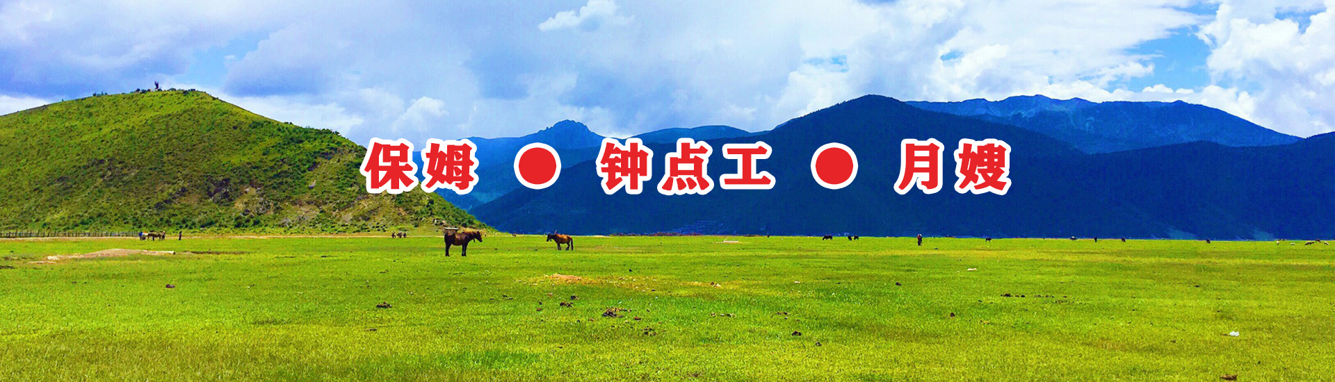 傢政(zheng)服(fu)務