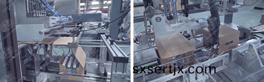 全(quan)自(zi)動一片(pian)式(shi)裝箱機(ji)-5